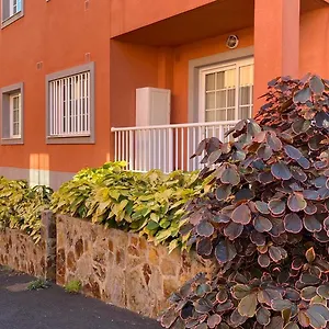https://elegante-piso-en-puerto-de-la-cruz.tenerifehoteles.net
